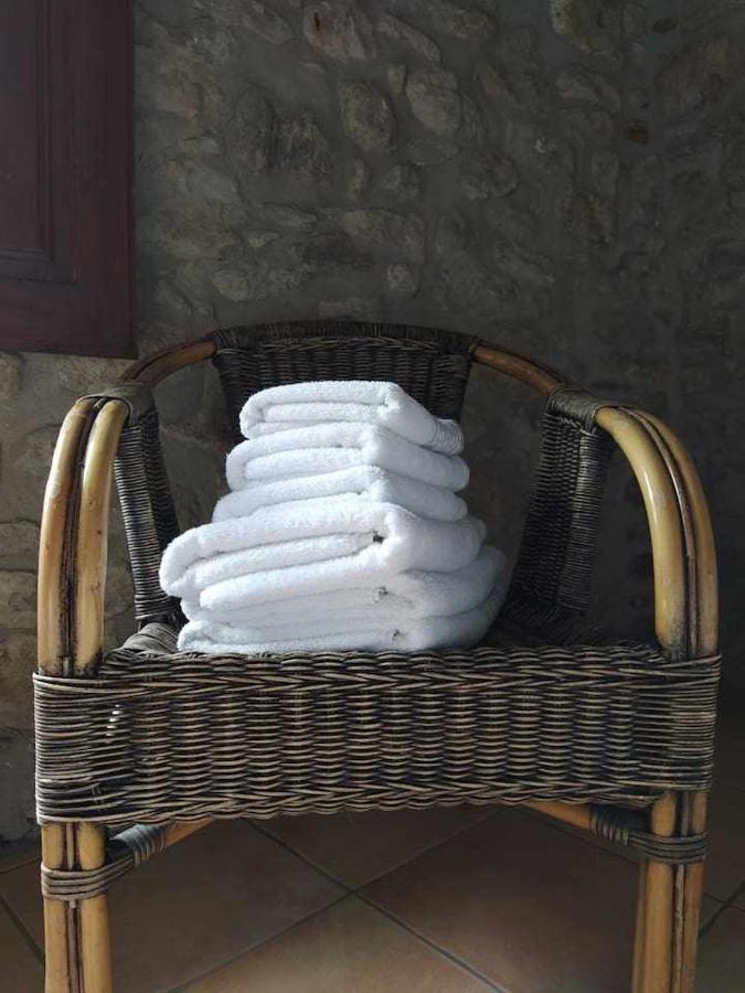 Mas Planella Casa Rural Mieres  Exteriér fotografie